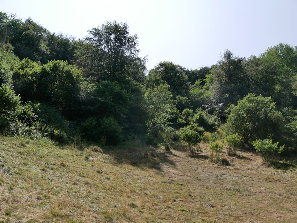 Balade sur le puy de Vichâtel